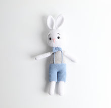 Lade das Bild in den Galerie-Viewer, Häkelpuppe - Hasi (Babyblau)